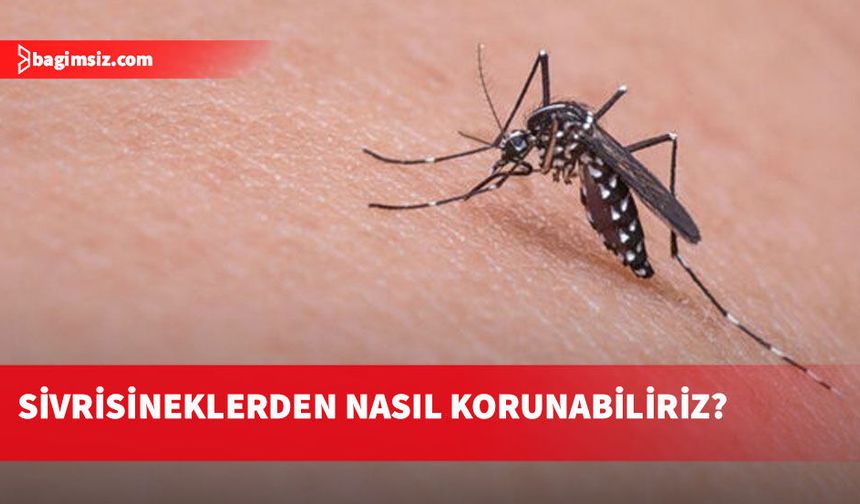 KTTB Batı Nil Virüsünden korunmak için alınması gereken önlemleri aktardı
