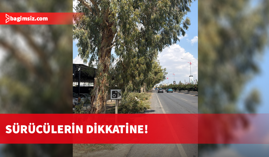 Polis, yarın sabah Demirhan mevkiinde budama çalışması yapılacağını duyurdu ve sürücüleri uyardı