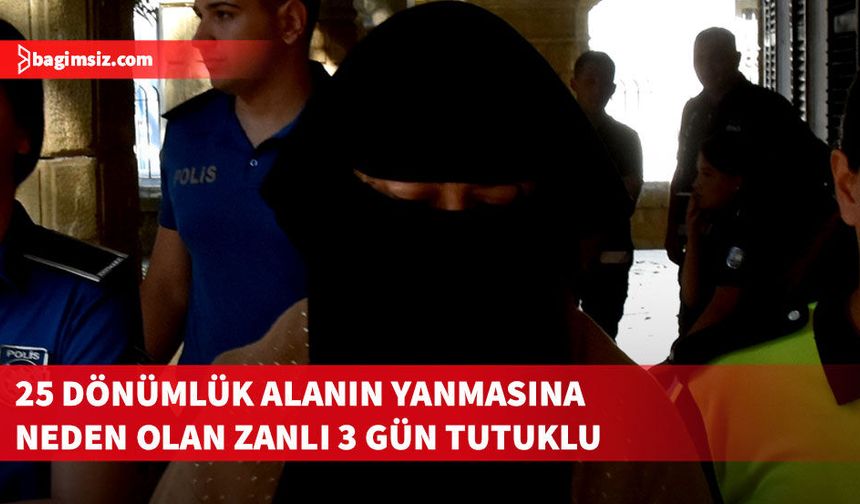 Kuru otları izinsiz yaktı, yangın kontrolden çıktı: 3 gün tutuklu