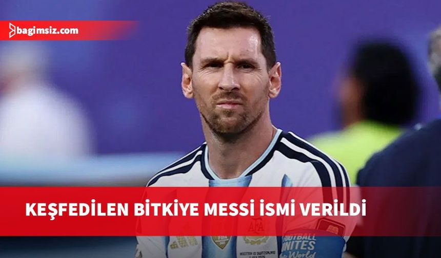 Peru'da keşfedilen yeni bir bitkiye Messi adı verildi