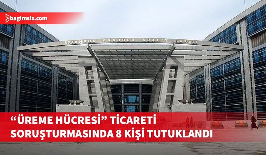 "Üreme hücresi" ticareti soruşturmasında gözaltına alınan 44 şüpheliden 8 kişi tutuklandı