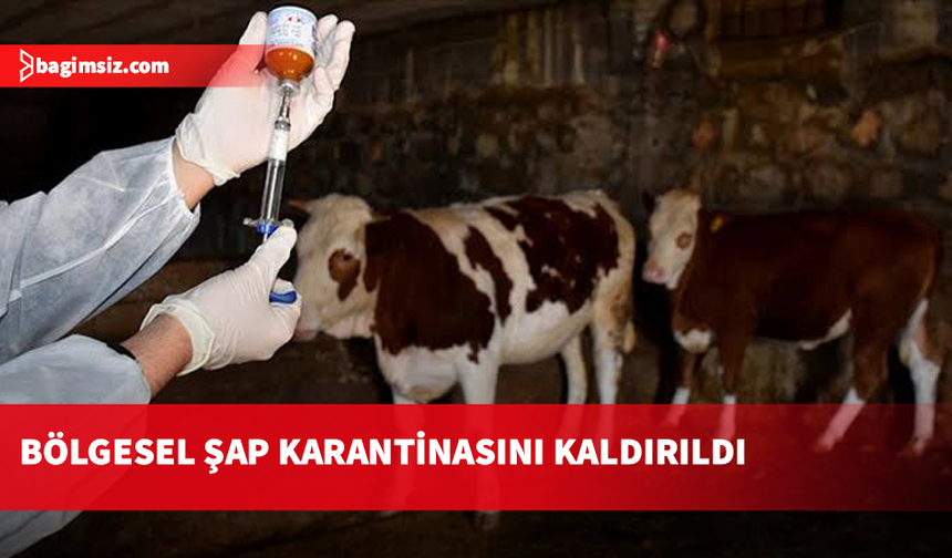 Şap hastalığı nedeniyle uygulanan bölgesel karantina kaldırılıyor