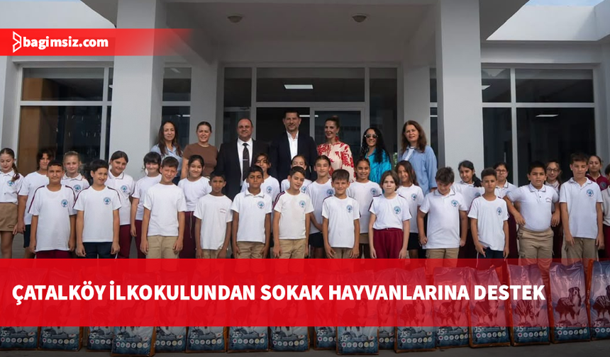 Çatalköy İlkokulu öğrencilerinden sokak hayvanlarına mama desteği