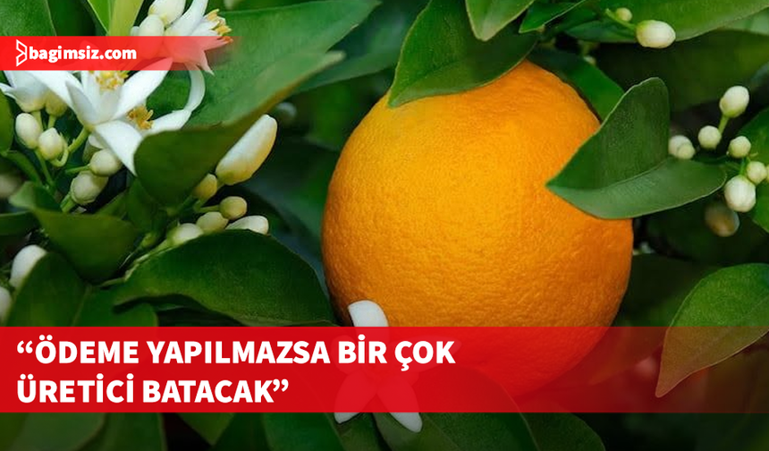 Narenciye Üreticileri Birliği Derneği hala ürün ödemelerinin yapılmadığına işaret etti