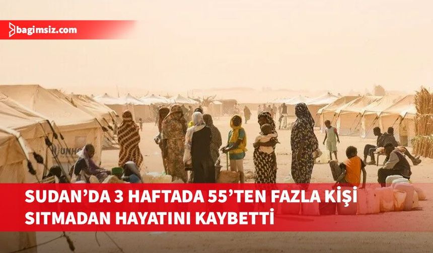 Sudan'ın Batı Darfur eyaletinde 3 haftada 55'ten fazla kişi sıtmadan yaşamını yitirdi